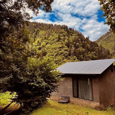 Cozy House In The Forest Borjomi Luaran gambar