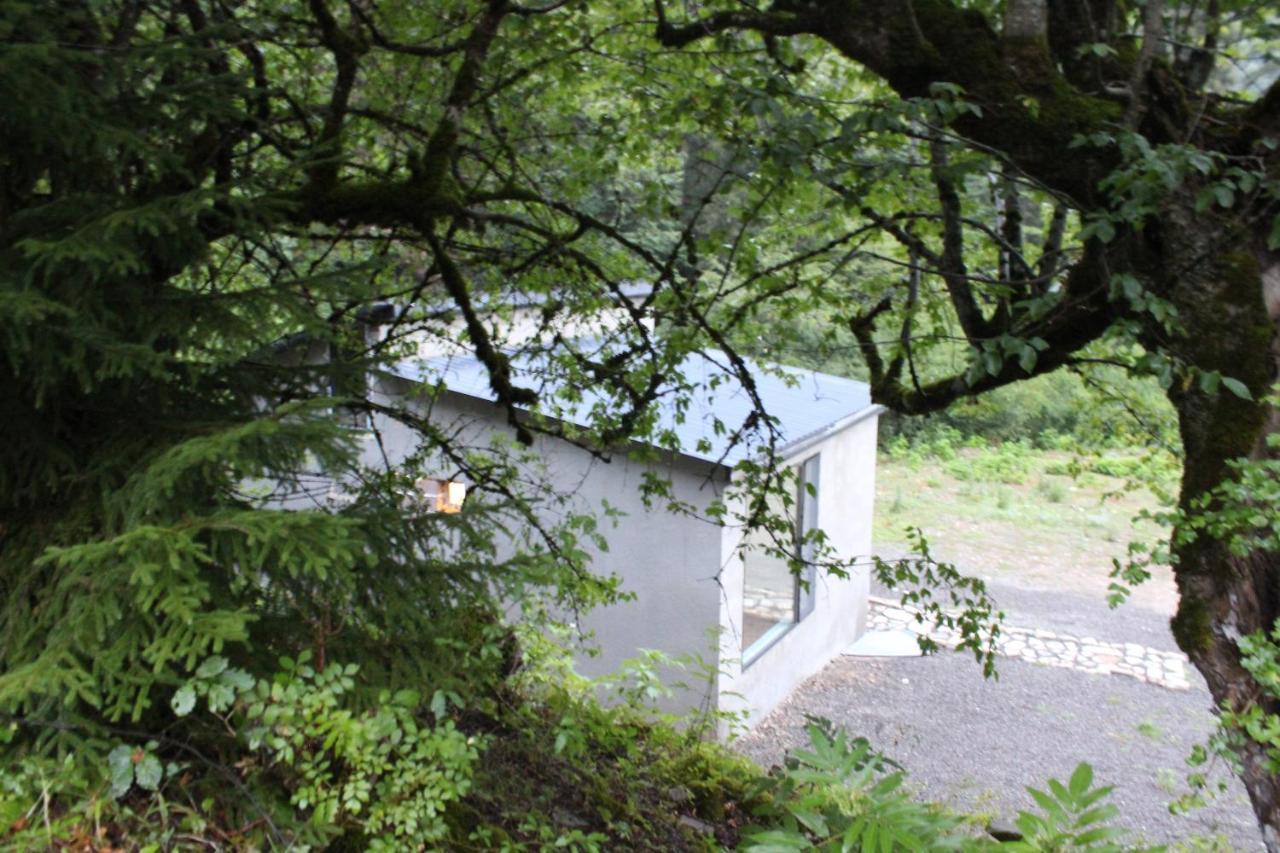 Cozy House In The Forest Borjomi Luaran gambar