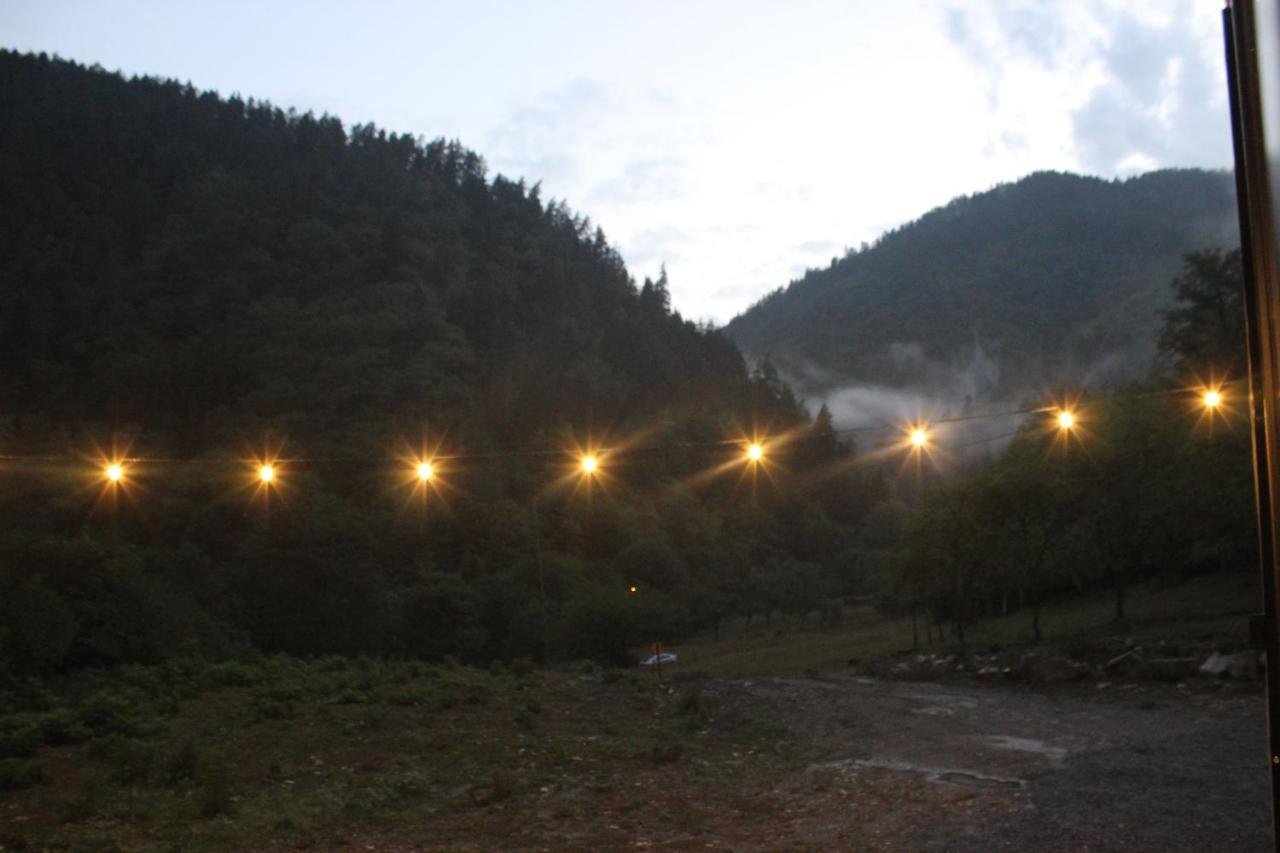 Cozy House In The Forest Borjomi Luaran gambar