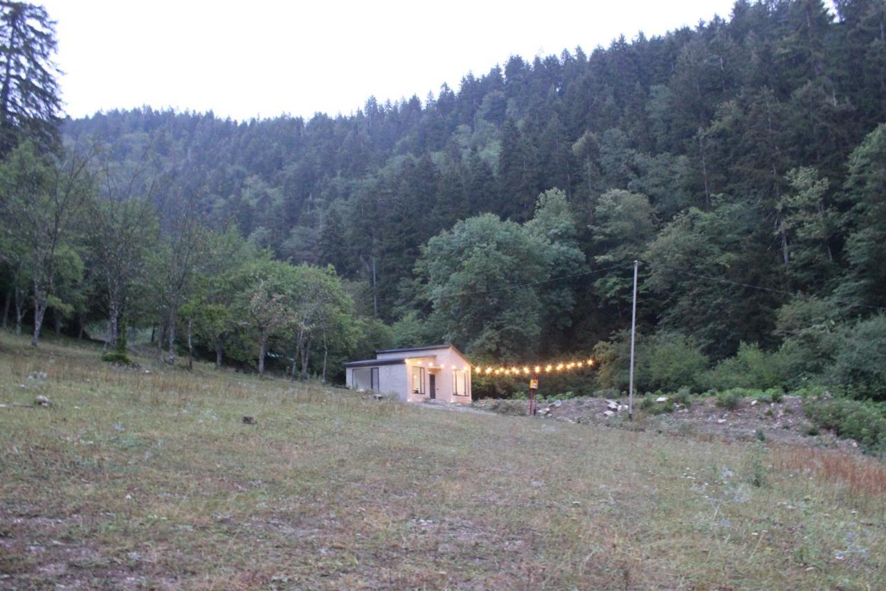 Cozy House In The Forest Borjomi Luaran gambar