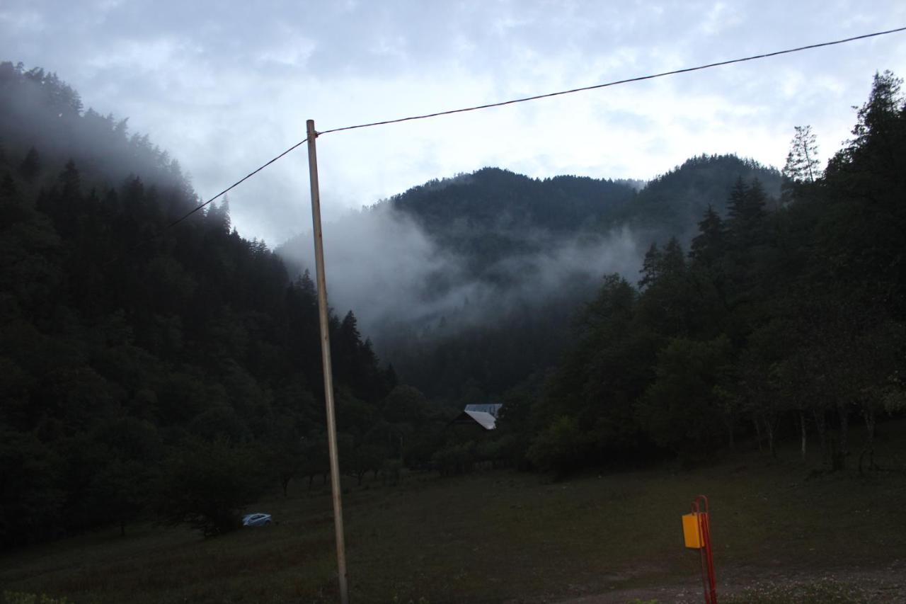 Cozy House In The Forest Borjomi Luaran gambar