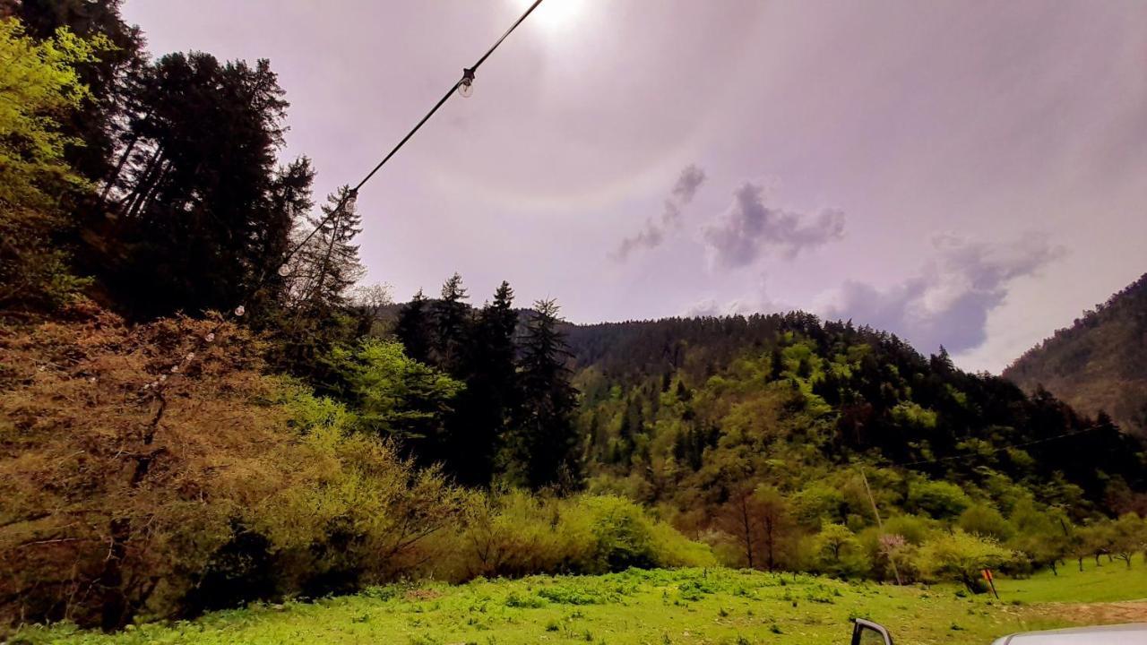 Cozy House In The Forest Borjomi Luaran gambar