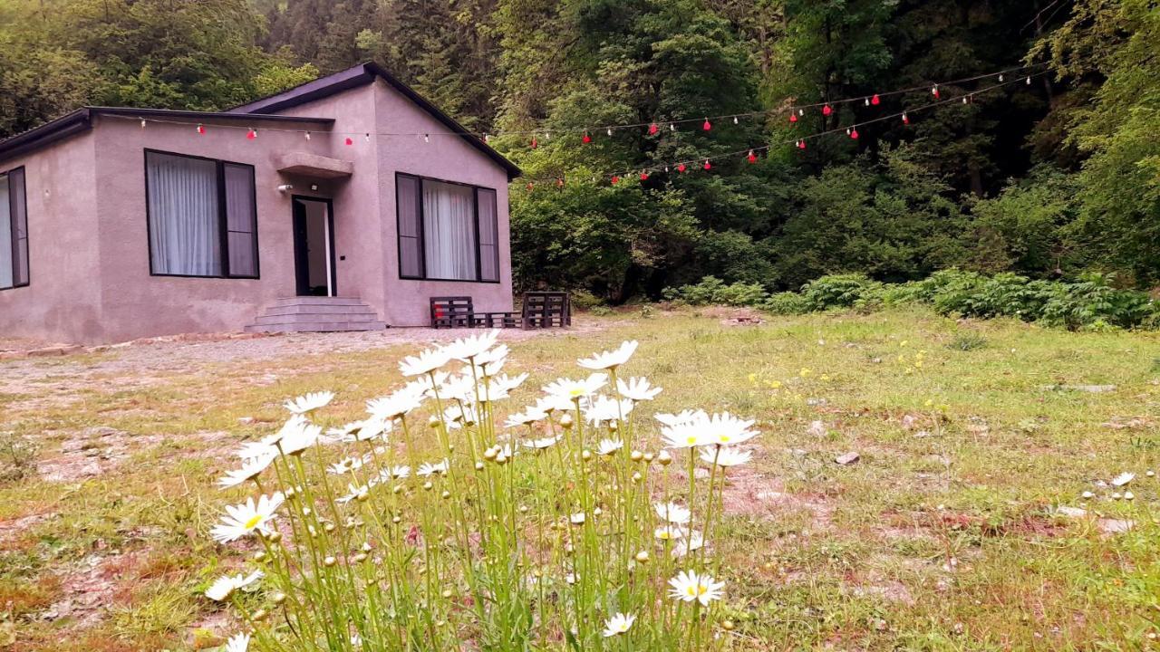 Cozy House In The Forest Borjomi Luaran gambar