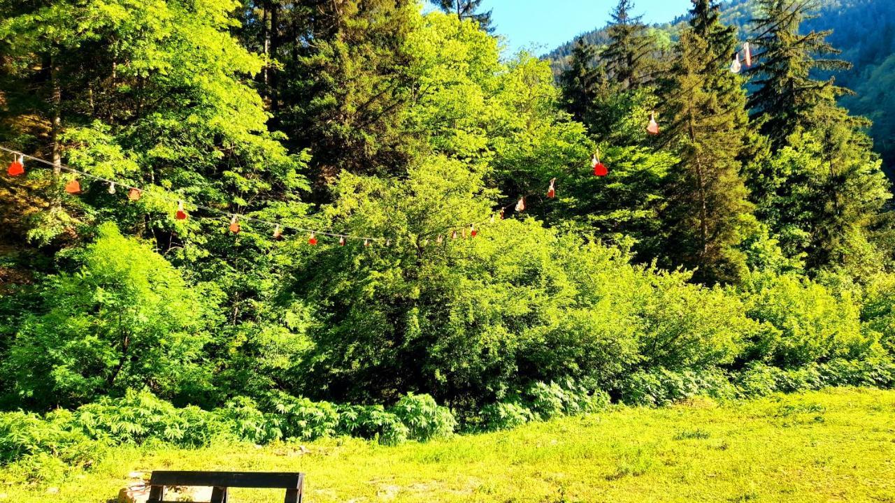 Cozy House In The Forest Borjomi Luaran gambar