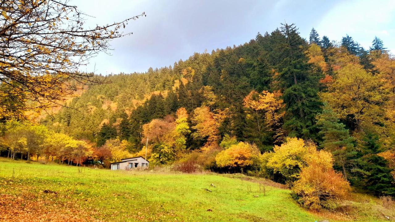 Cozy House In The Forest Borjomi Luaran gambar