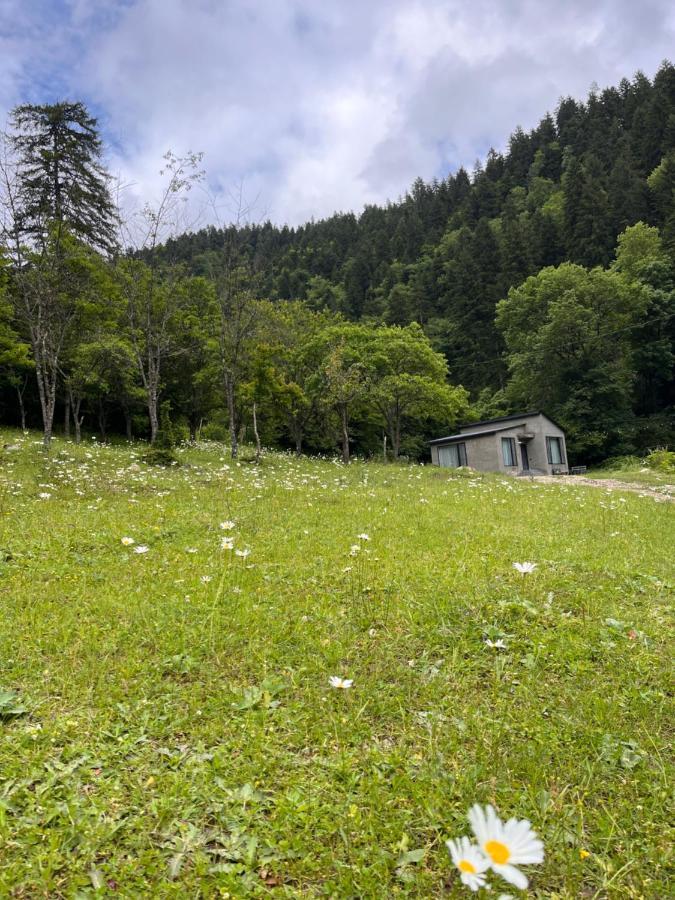 Cozy House In The Forest Borjomi Luaran gambar