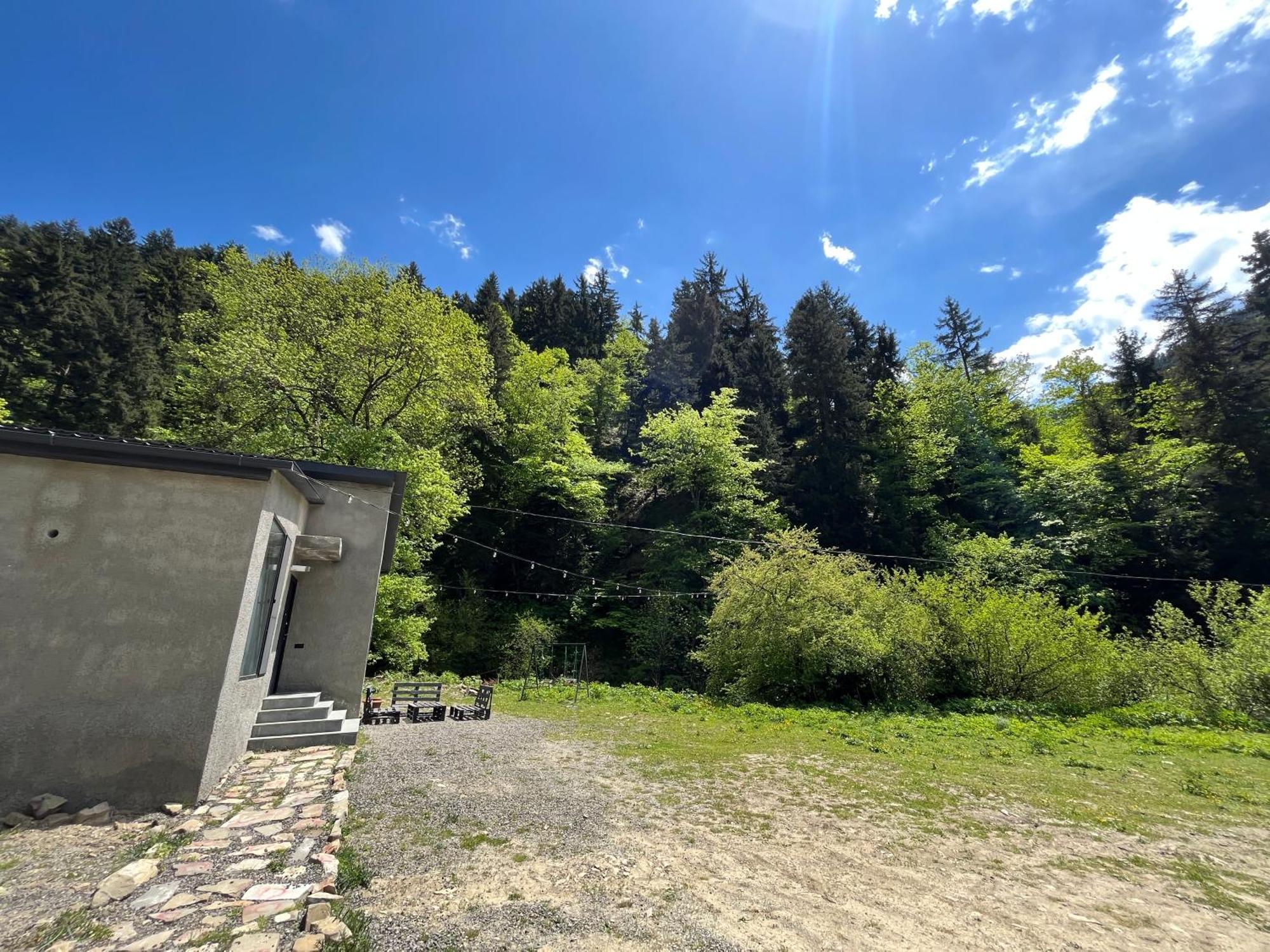 Cozy House In The Forest Borjomi Luaran gambar