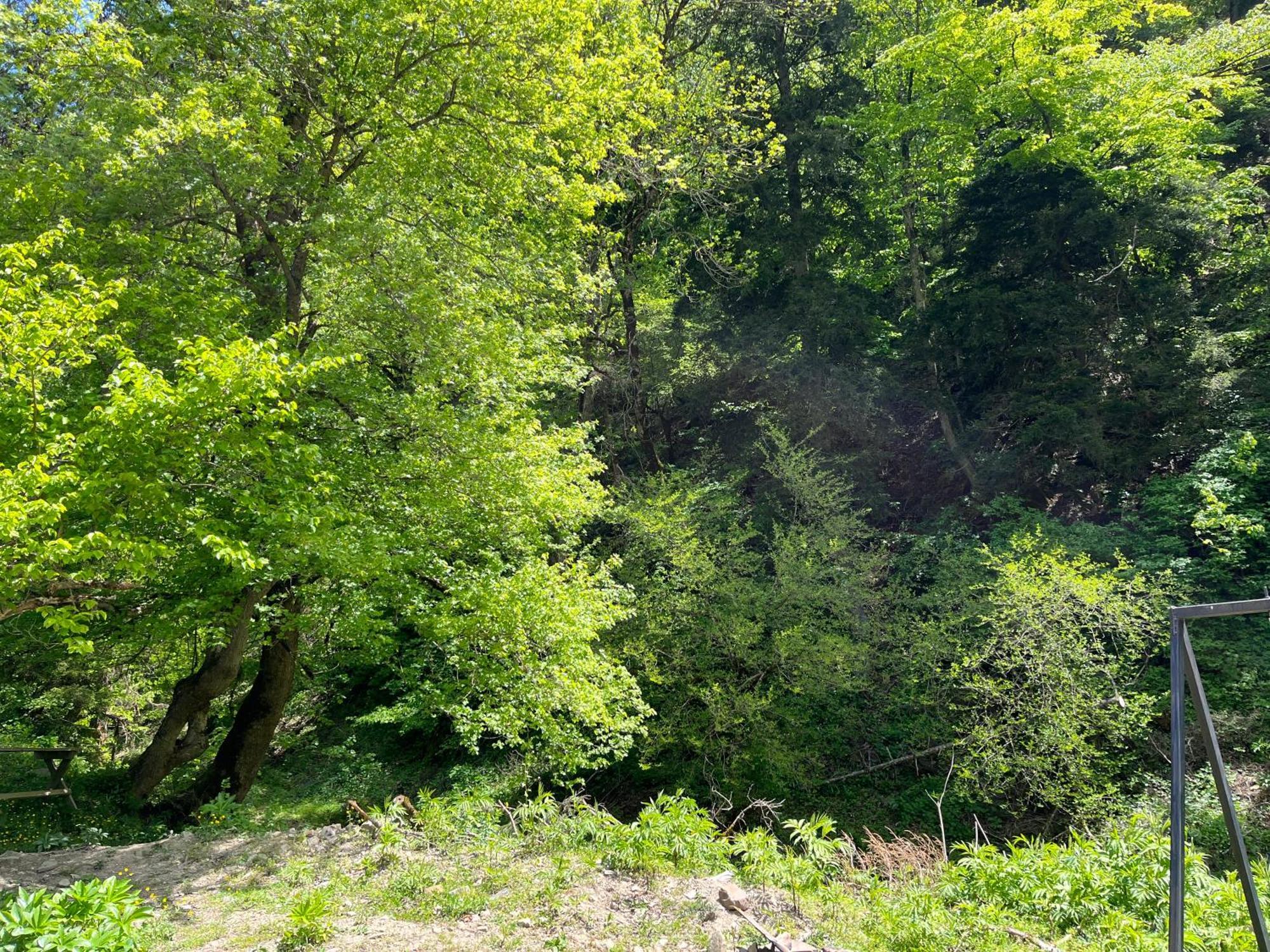 Cozy House In The Forest Borjomi Luaran gambar
