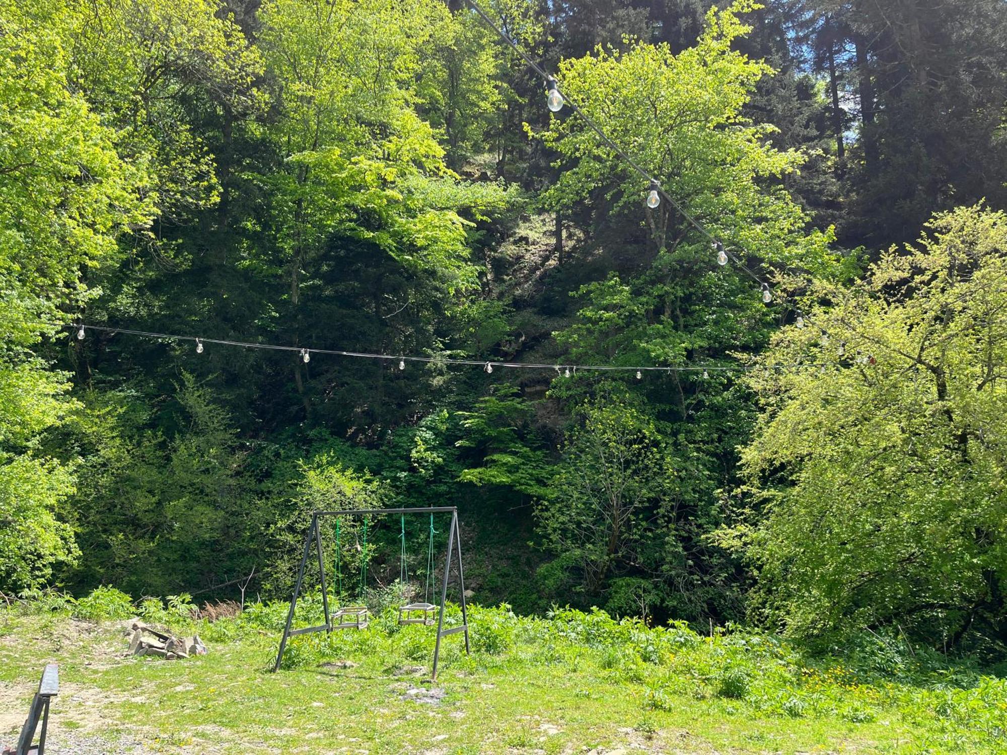 Cozy House In The Forest Borjomi Luaran gambar