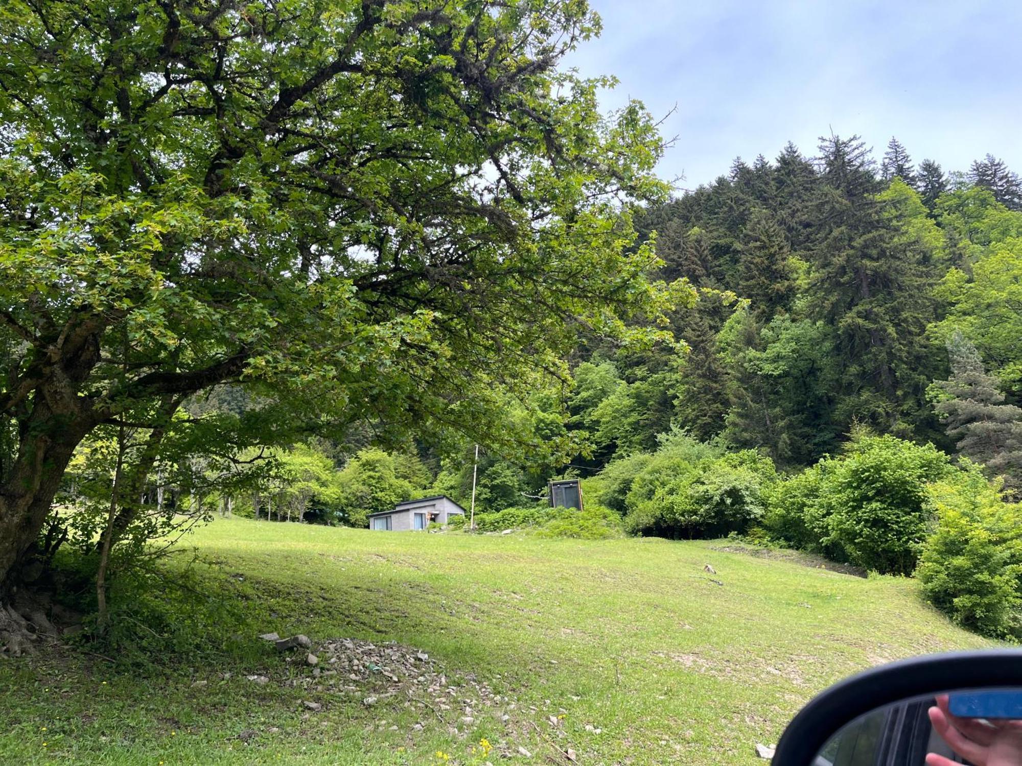 Cozy House In The Forest Borjomi Luaran gambar