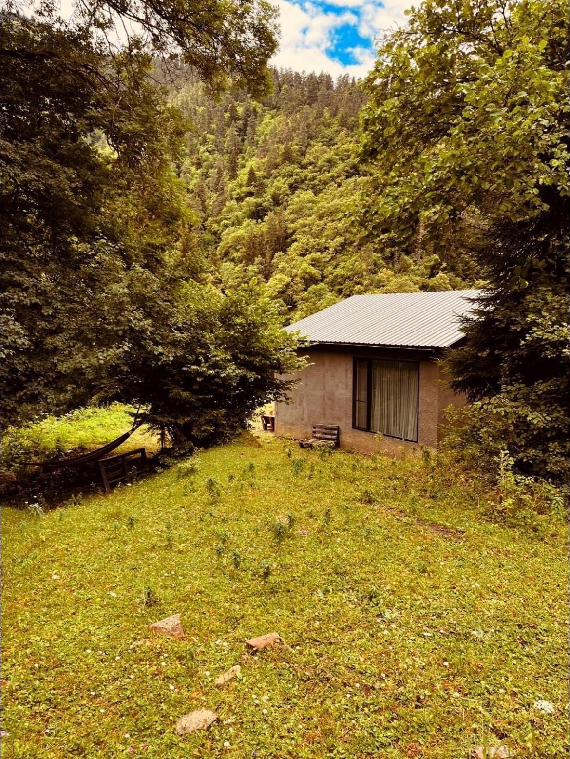 Cozy House In The Forest Borjomi Luaran gambar